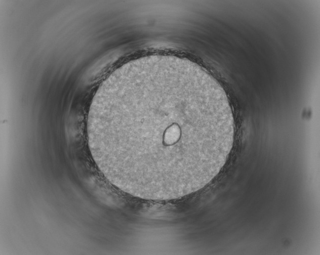 X0000112720824200909171102