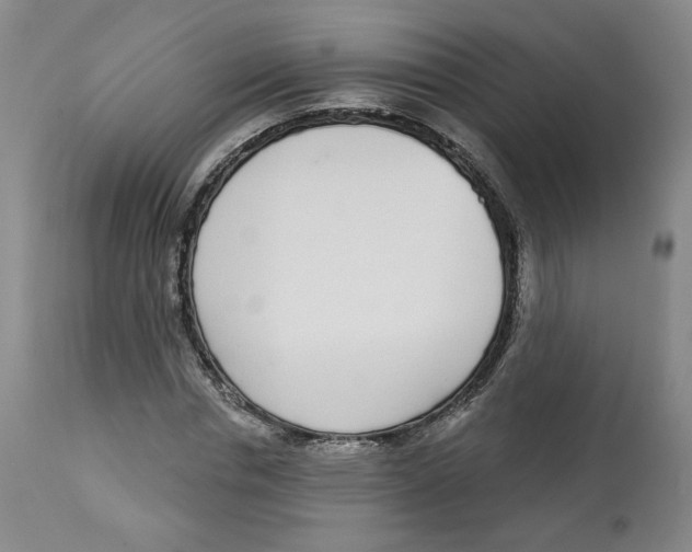 X0000112720826200909171102