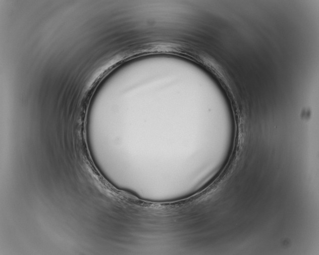 X0000112720827200909171102