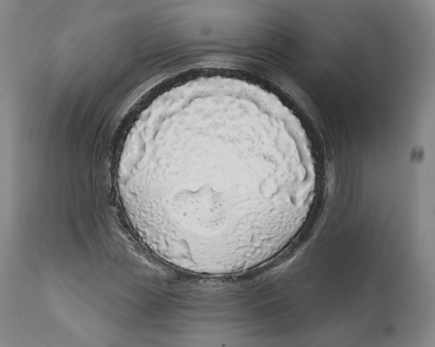 X0000112720829200909171102