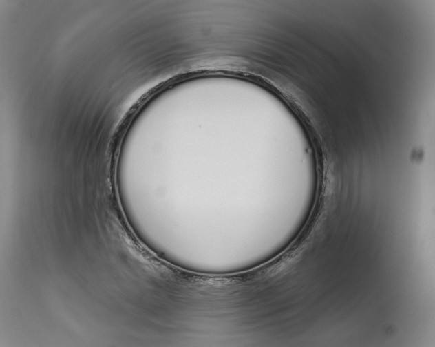 X0000112720830200909171102