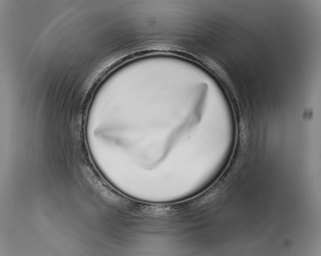 X0000112720831200909171103