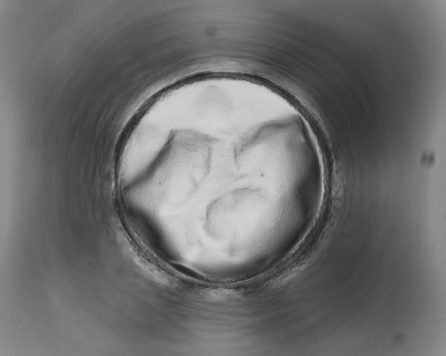 X0000112720837200909171103