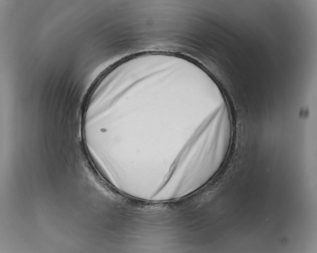 X0000112720838200909171103