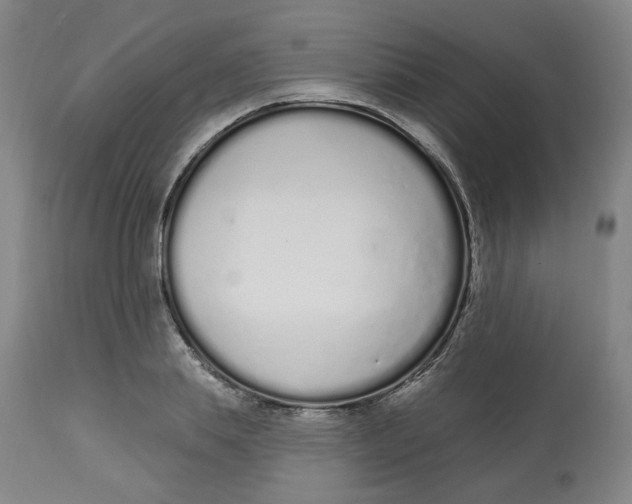 X0000112720839200909171103