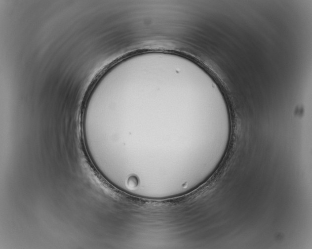 X0000112720840200909171103