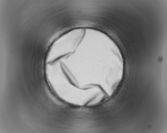 X0000112720842200909171103