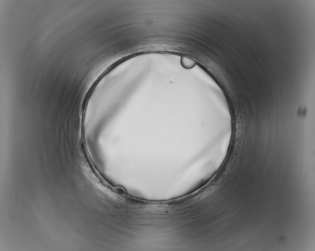 X0000112720844200909171103