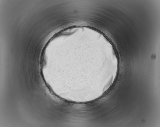 X0000112720845200909171103