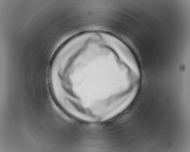 X0000112720847200909171103