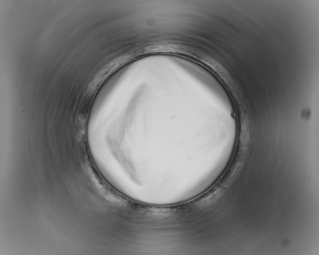 X0000112720849200909171103