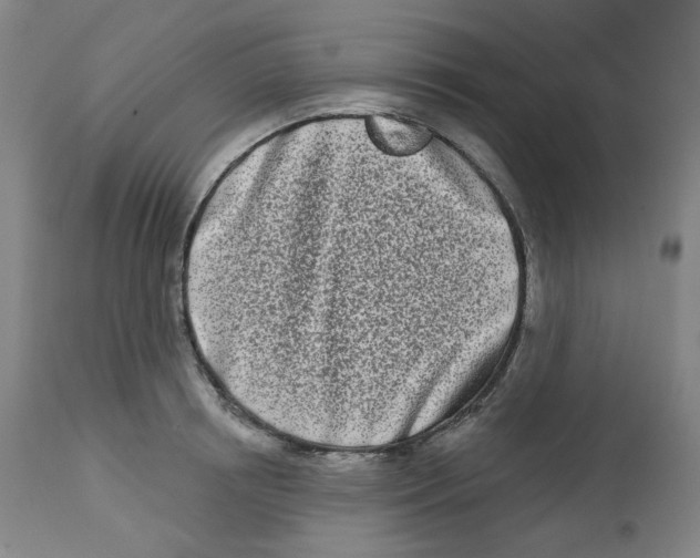 X0000112720850200909171103