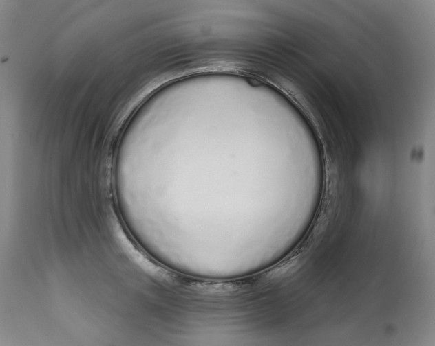 X0000112720851200909171103