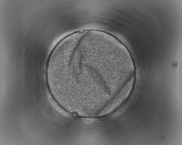 X0000112720854200909171103