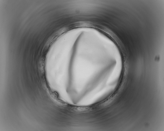 X0000112720857200909171103