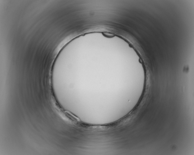 X0000112720858200909171103