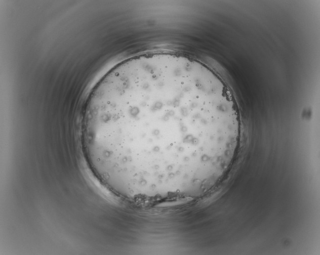 X0000112720859200909171103