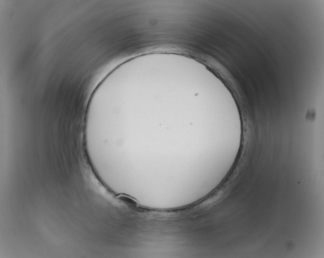 X0000112720860200909171103