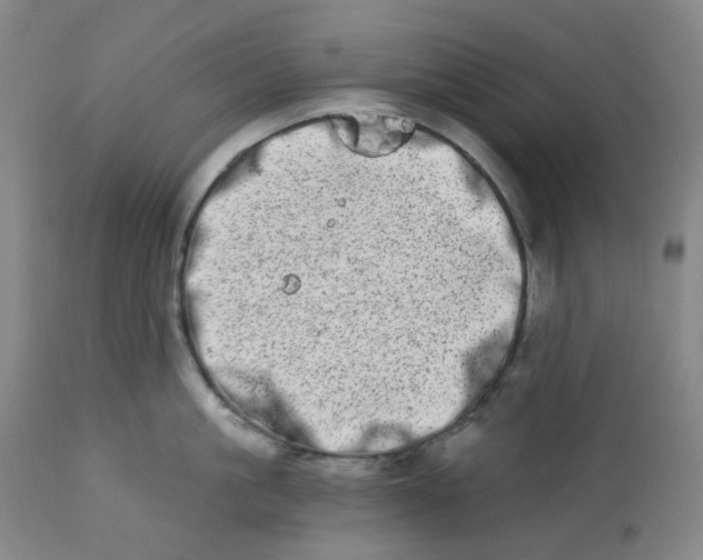 X0000112720861200909171103