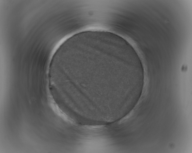 X0000112720864200909171103