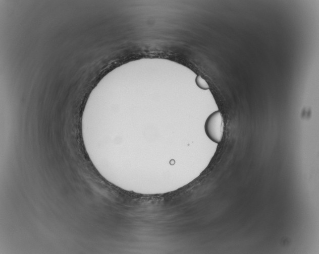 X0000112720865200909171102