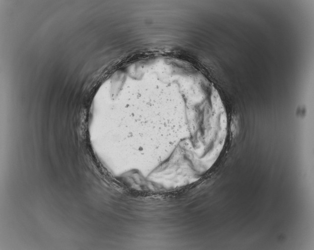 X0000112720867200909171102