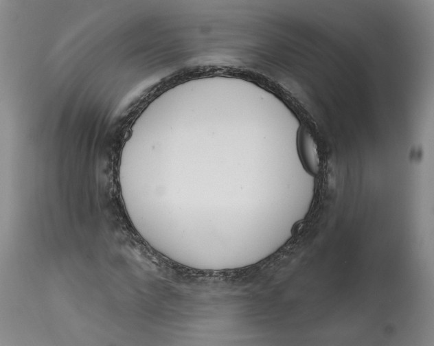 X0000112720872200909171102