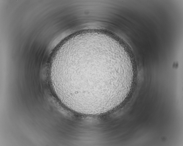 X0000112720874200909171102