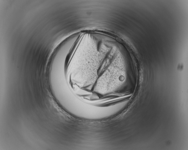 X0000112720876200909171102