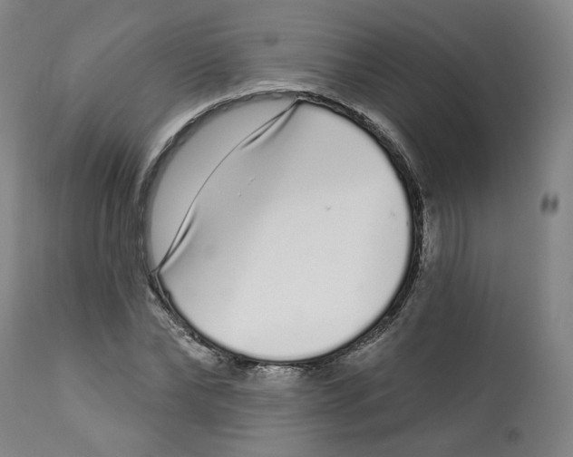 X0000112720878200909171102