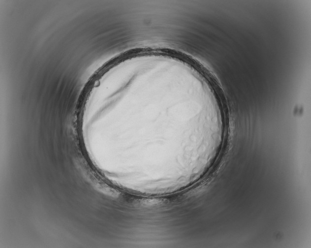 X0000112720879200909171102