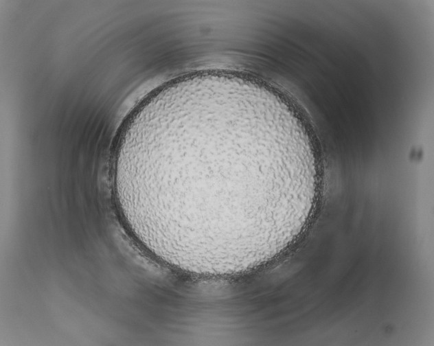 X0000112720882200909171102