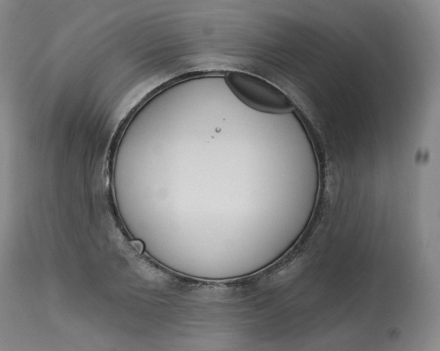 X0000112720885200909171102