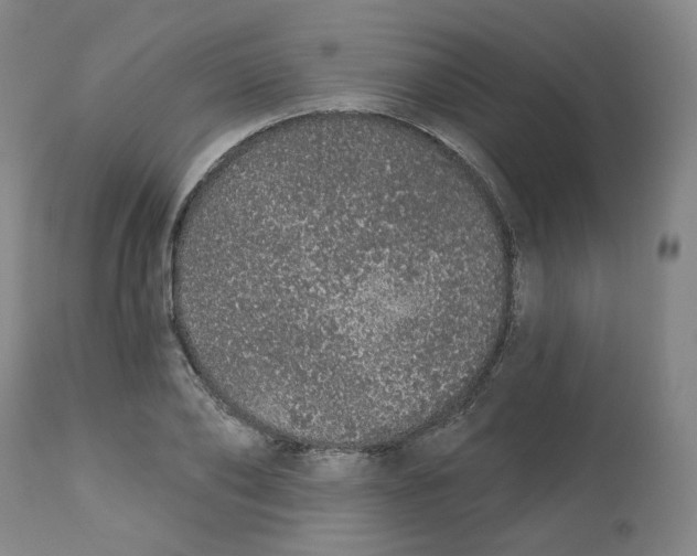 X0000112720886200909171102