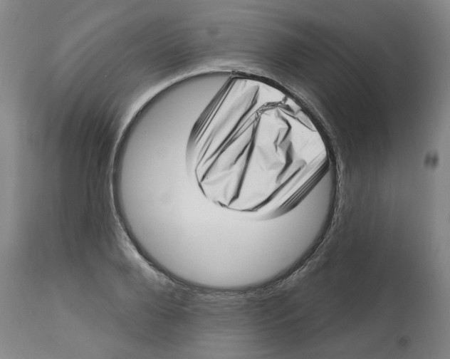 X0000112720888200909171102