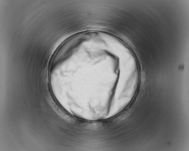 X0000112720891200909171102