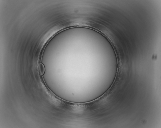 X0000112720893200909171102