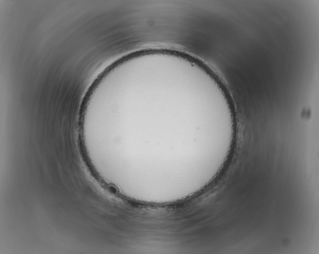 X0000112720895200909171102