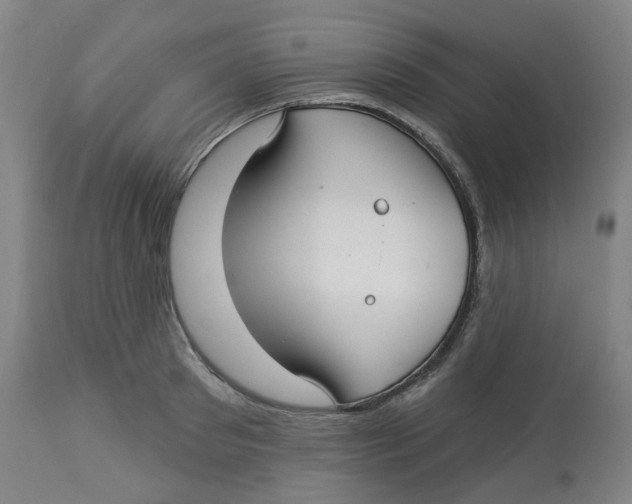 X0000112720897200909171102