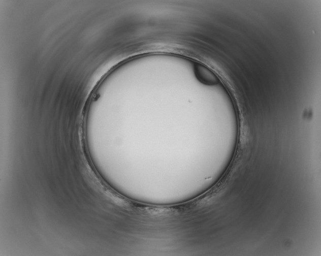 X0000112720899200909171102