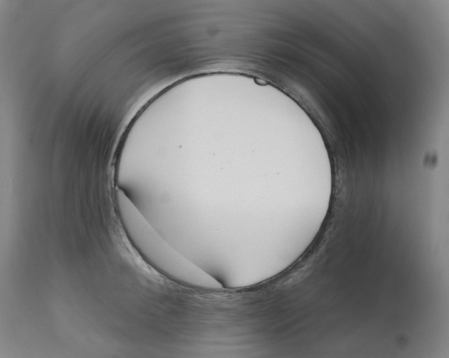 X0000112720900200909171102