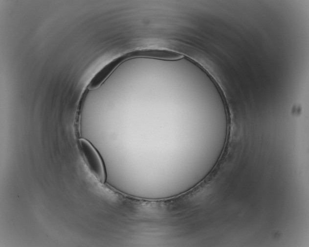 X0000112720901200909171102