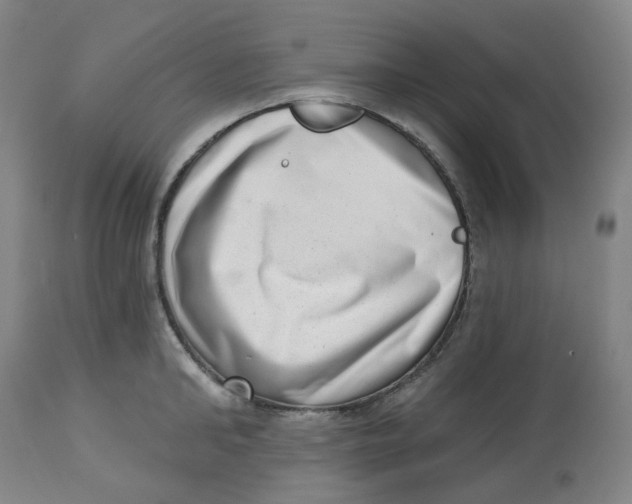 X0000112720902200909171102