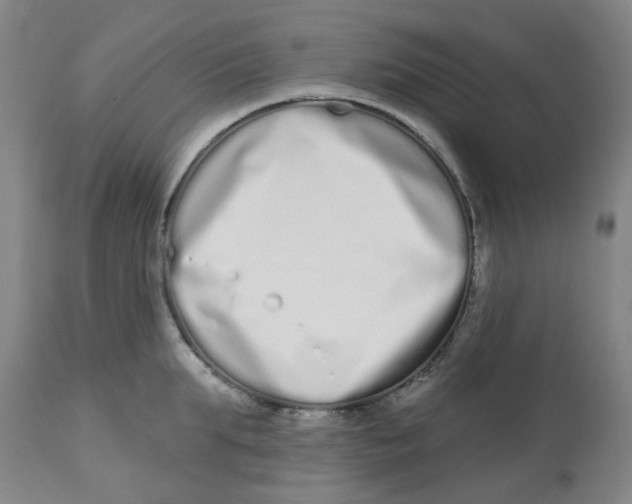 X0000112720903200909171102