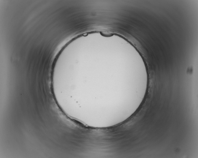 X0000112720904200909171102