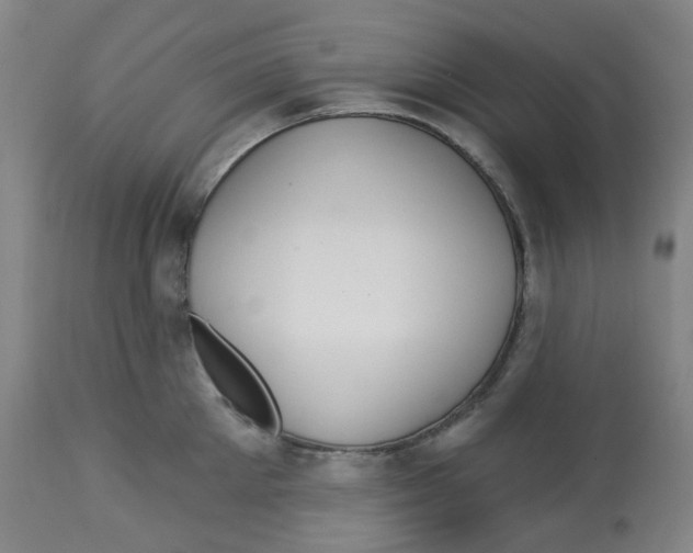 X0000112720905200909171102