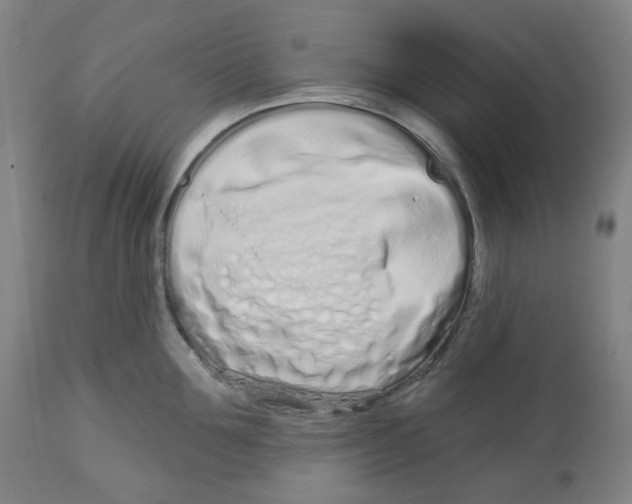 X0000112720907200909171102