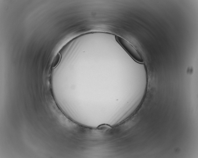 X0000112720908200909171102