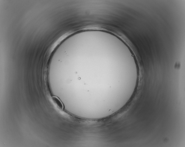 X0000112720909200909171102