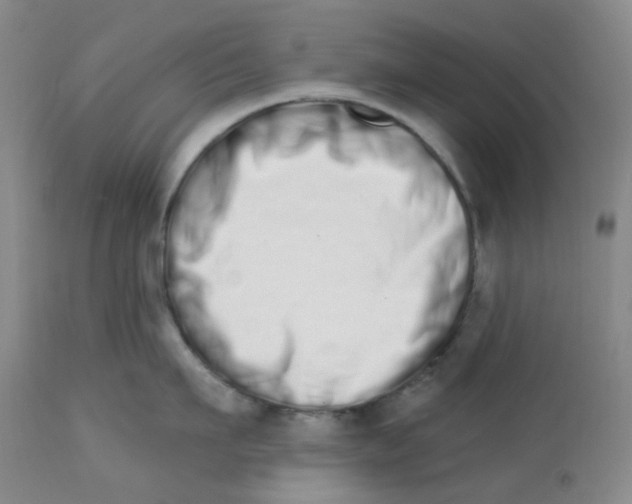 X0000112720911200909171101